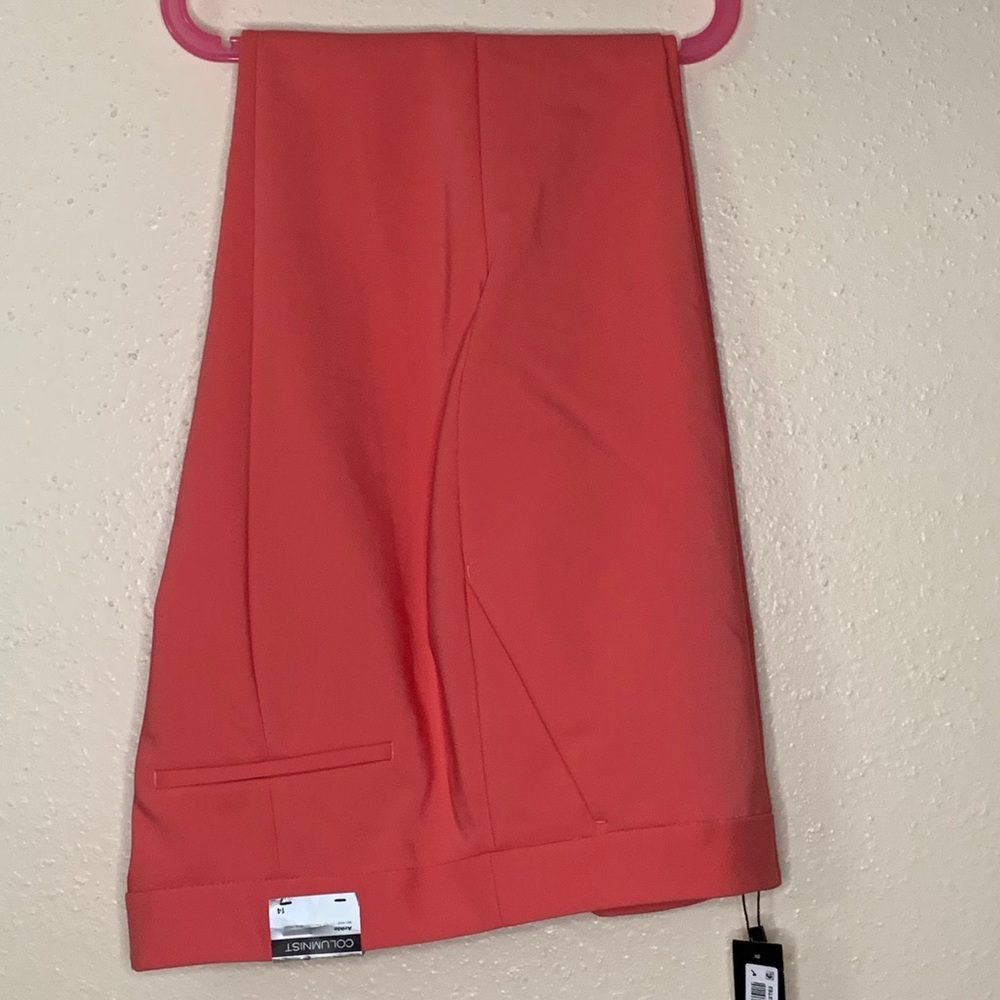 Express Slacks - Picture 2 of 2